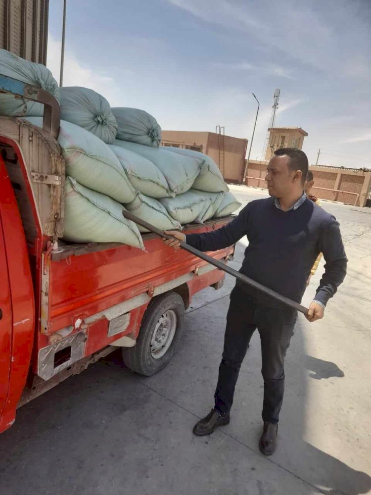 توريد ١٣٥٢ طناً من محصول القمح إلى صوامع المنيا منذ الاثنين الماضى