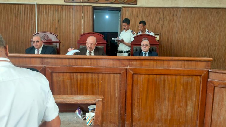 جنايات فوة: إحالة أوراق سائق توك توك إلى المفتى قتل شاب لسرقة الدولارات