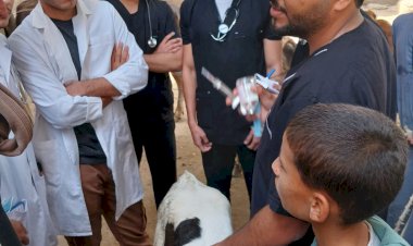 منبر