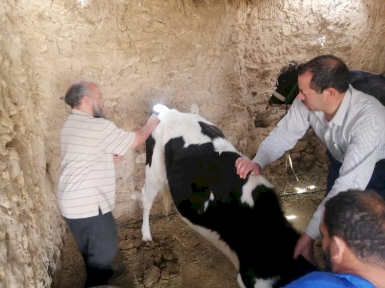 قافلة بيطرية مجانية لاهالي مطروح