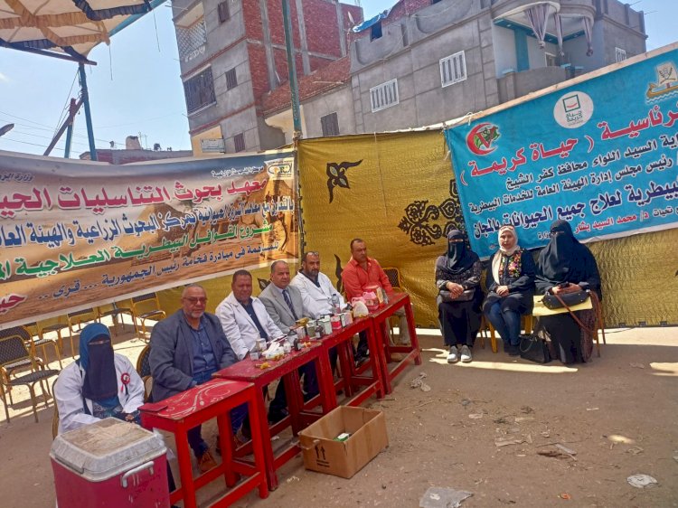 قافلة بيطرية مجانية لعلاج مواشي المربين بكفر الشيخ