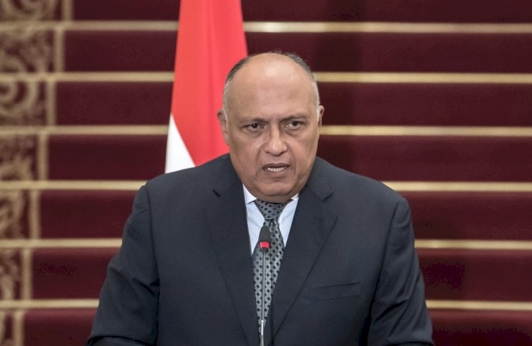 اتفاق مصري سلوفيني على ضرورة وقف إطلاق النار بغزة