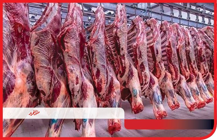 تحرير 108 محاضر تموينية بمراكز ملوي ومطاي وديرمواس