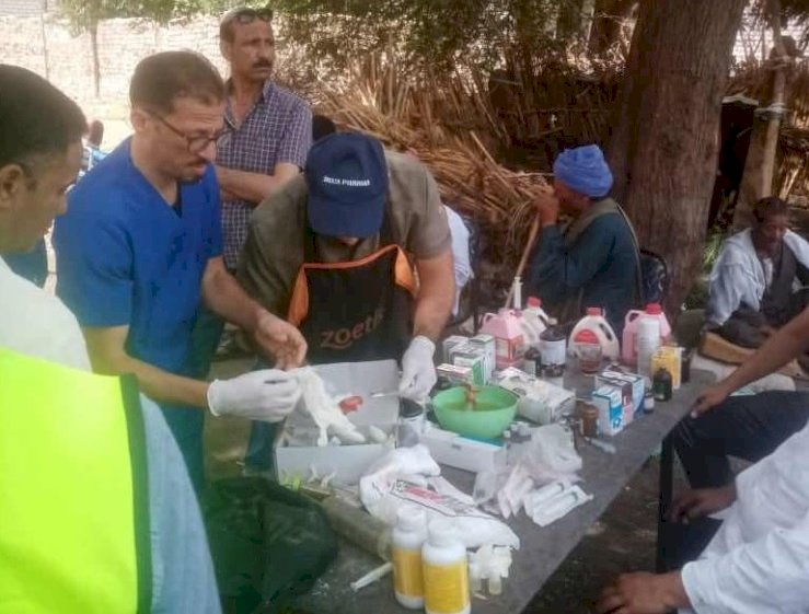 بيطري المنيا: تنفيذ 3 قوافل بيطرية ارشادية مجانية بالقرى الأكثر احتياجاً