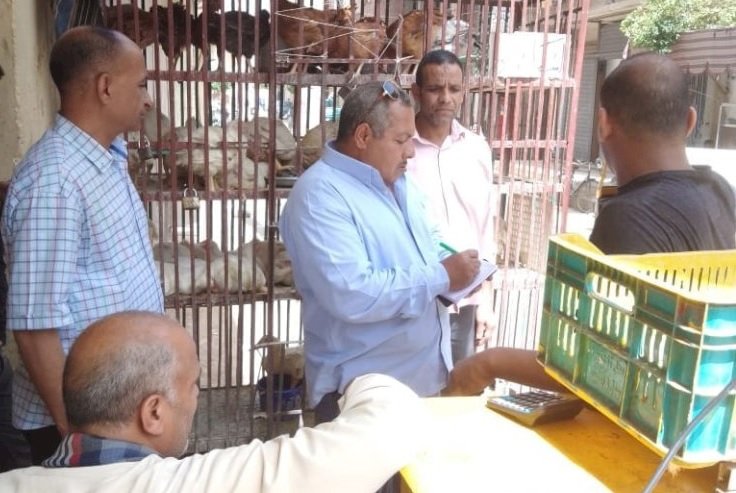 تحرير 121 محضرًا مخالفًا خلال حملات تموينية وتفتيشية بمراكز المنيا