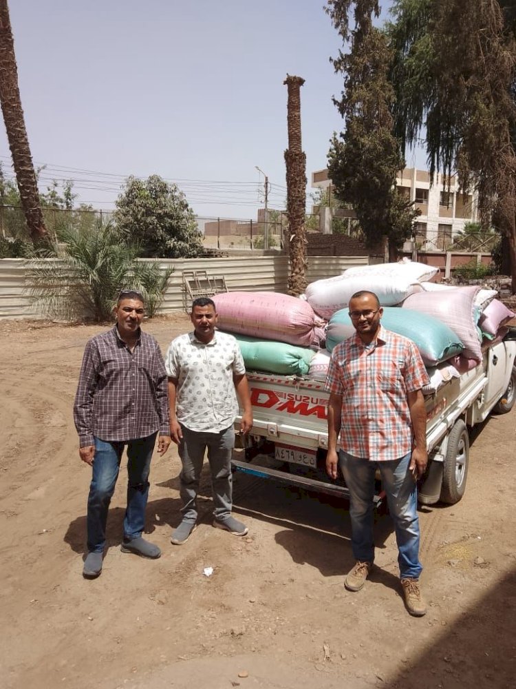 ضبط سيارة محملة بـ 2.100 طن من الأقماح القديمة وبها إصابة حشرية بمركز ملوي بالمنيا