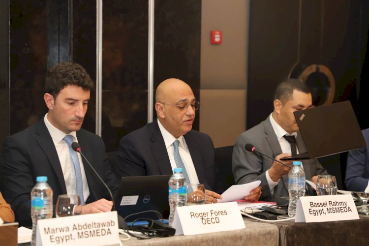 تنمية المشروعات يتعاون مع منظمة التعاون الاقتصادي لتطوير المشروعات الصغيرة