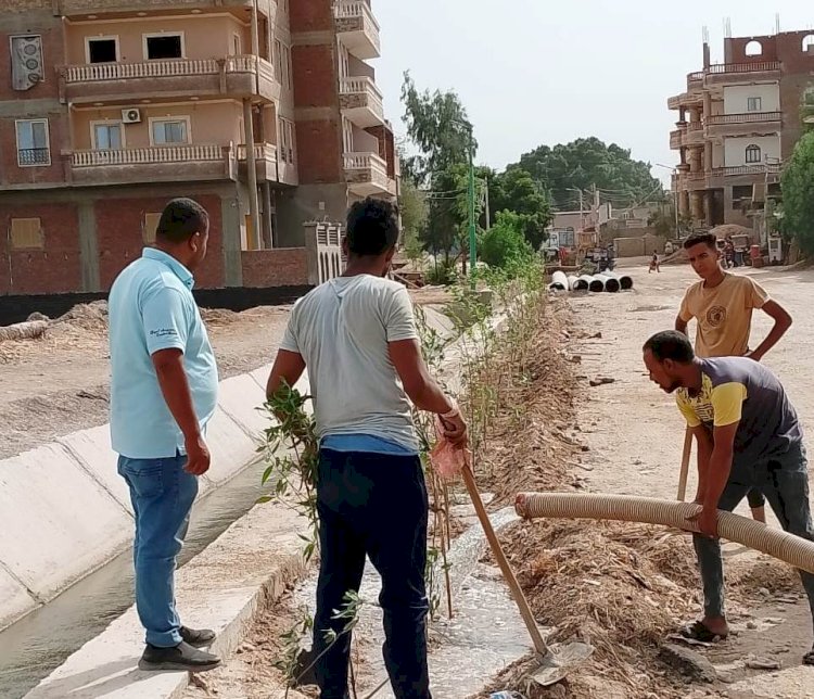 زراعة "٥٠٠"شجرة بقرية نيدة باخميم