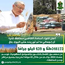 محافظ المنيا: شون وصوامع المحافظة تواصل استقبال القمح وتوريد 352 ألف طن منذ بدء الموسم