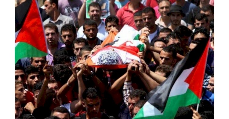 ارتفاع عدد شهداء فلسطين منذ 7 أكتوبر إلى 37372 شهيدًا