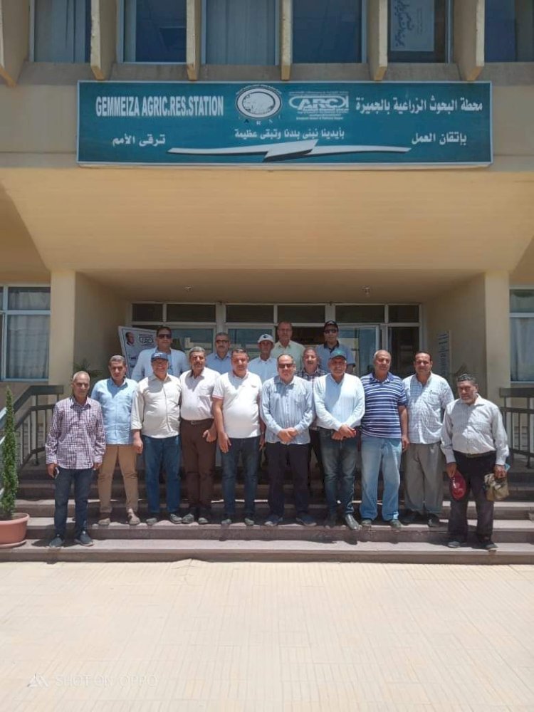 رئيس البحوث الزراعية يتفقد محطة الجميزة