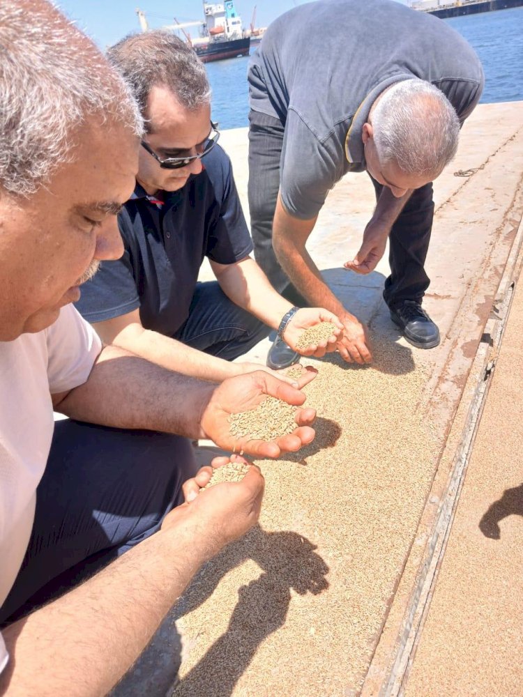 الزراعة تتابع الصادرات والواردات بدمياط وزيارة مفاجئة للحجرالزراعي بالميناء