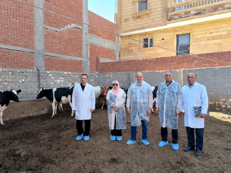 الزراعة تطلق الحملة القومية الثانية لتحصين المواشي ضد الحمى القلاعية والوادي المتصدع