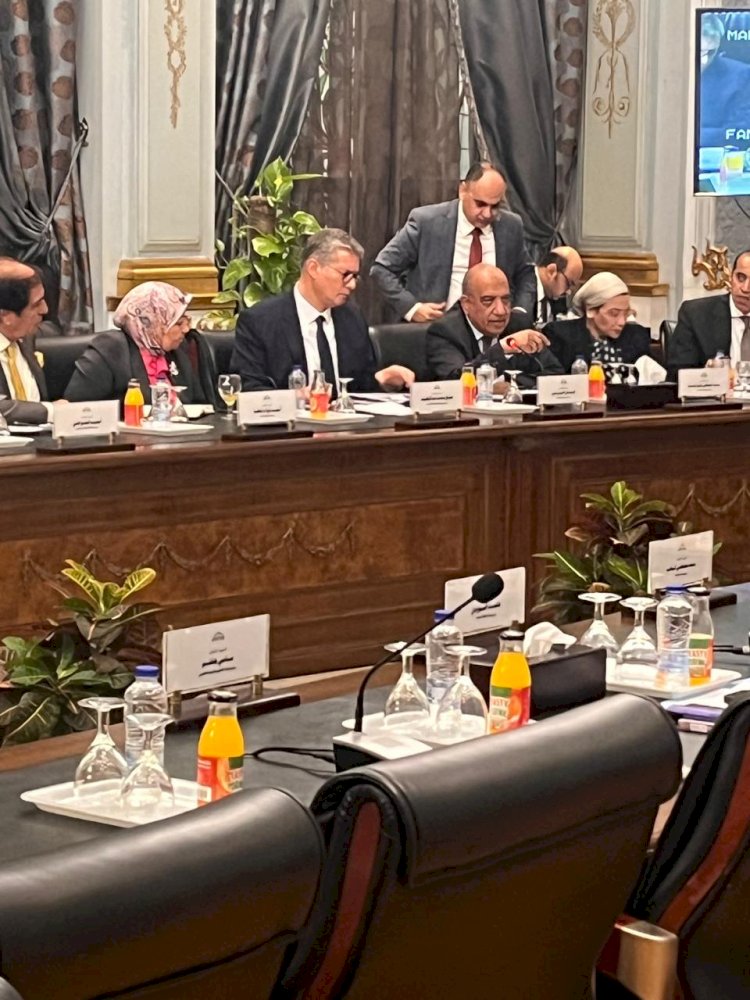 "بدوي"يعرض بيان البترول امام اللجنة البرلمانية لمناقشة برنامج الحكومة الجديدة