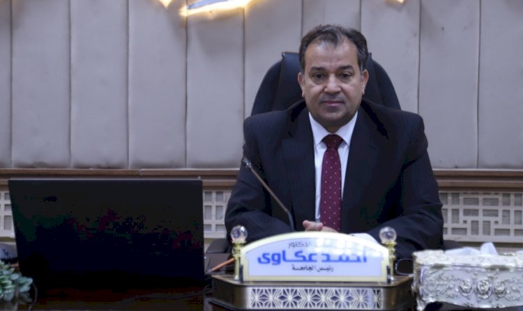 ورشة عمل بجنوب الوادى تناقش دليل الإجراءات المالية والإدارية