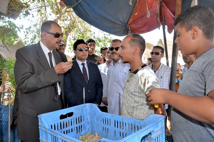 "سراج وعبدالهادي يتفقدان 4 قري ويوجهان بتحسين مستوي النظافة