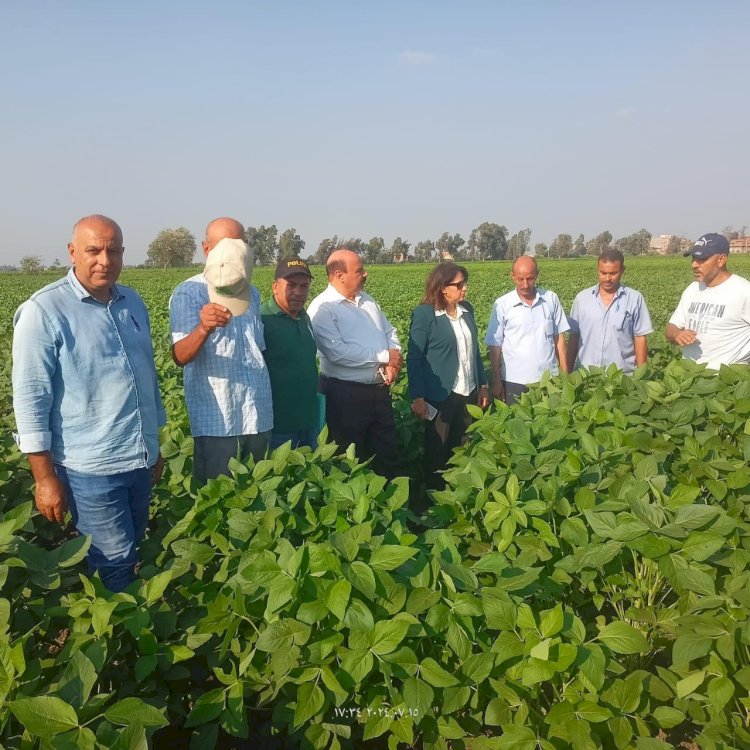 الزراعة:وكيل مركز البحوث الزراعية تتابع محاصيل الارز والفول والقطن والخضر بالدقهلية