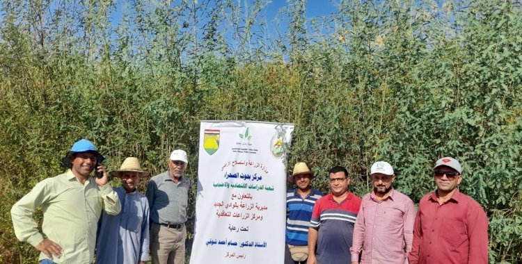 بحوث الصحراء يبدأ في تنفيذ عدد من المدارس الحقلية بالوادي الجديد