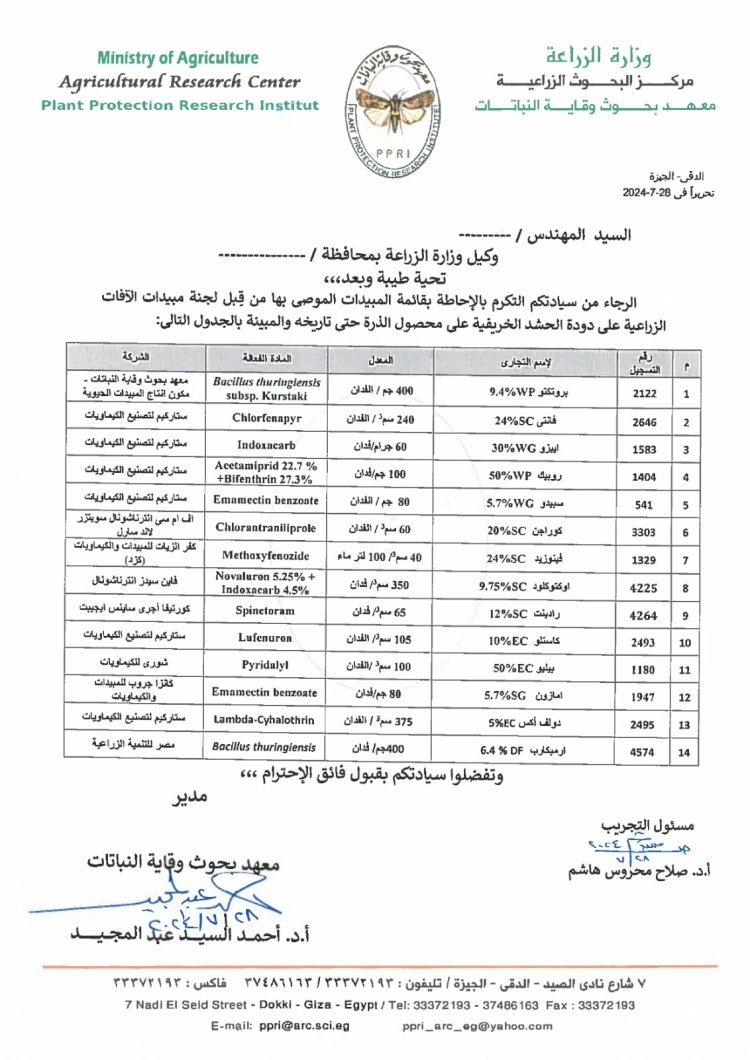وقاية النباتات يصدر تقريرا بأحدث توصيات دودة الحشد الخريفية