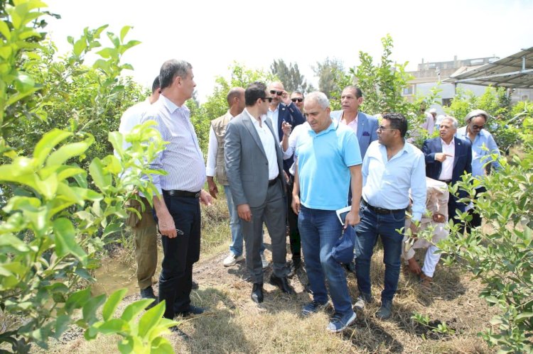 "فاروق"يتفقد حقول ارشادية لنظم الري الحديث بالطاقة الشمسية بدمنهور