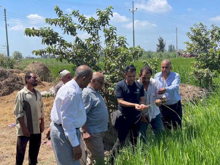 البحوث الزراعية يستعرض أنشطة مبادرة المراكز الارشادية الزراعية
