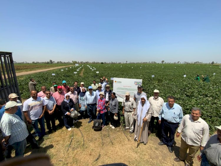 الزراعة وايكاردا ينظمان يوم حقل بمحطة سدس