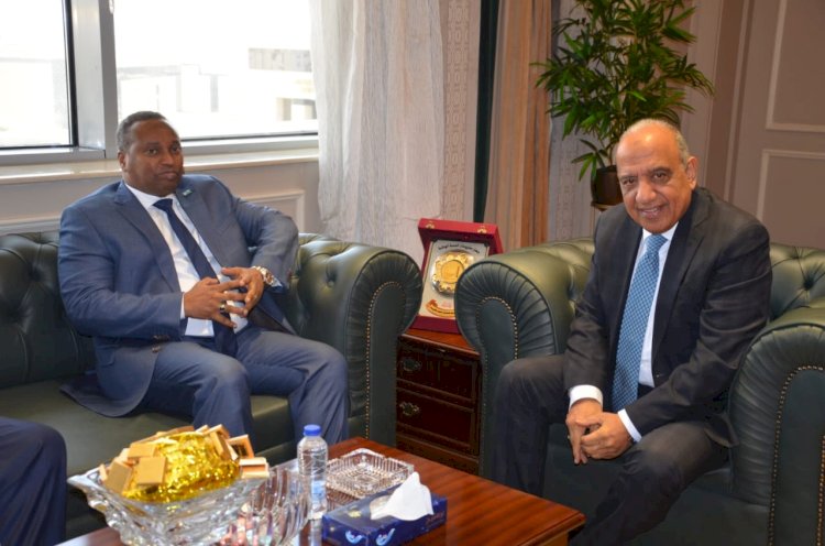 تعاون مصري جيبوتي في مجال الكهرباء