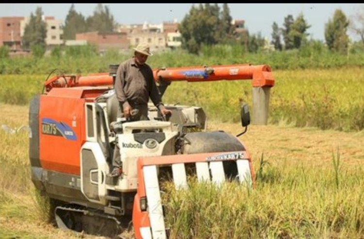 قطاع الزراعة الالية يستعد لموسم حصاد الارز