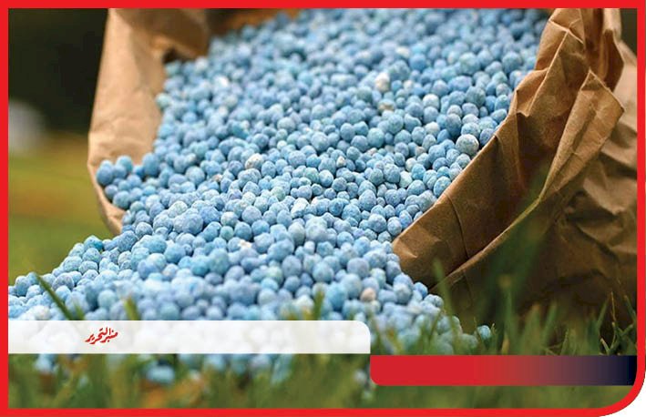 زراعة المنيا: صرف 70 % من الأسمدة المدعمة للمزارعين والباقي نهاية سبتمبر