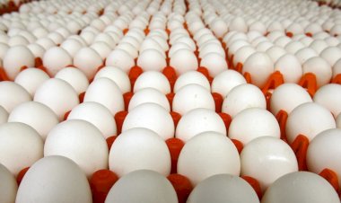 منبر