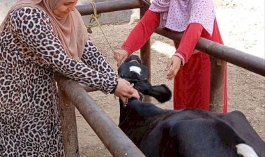 منبر
