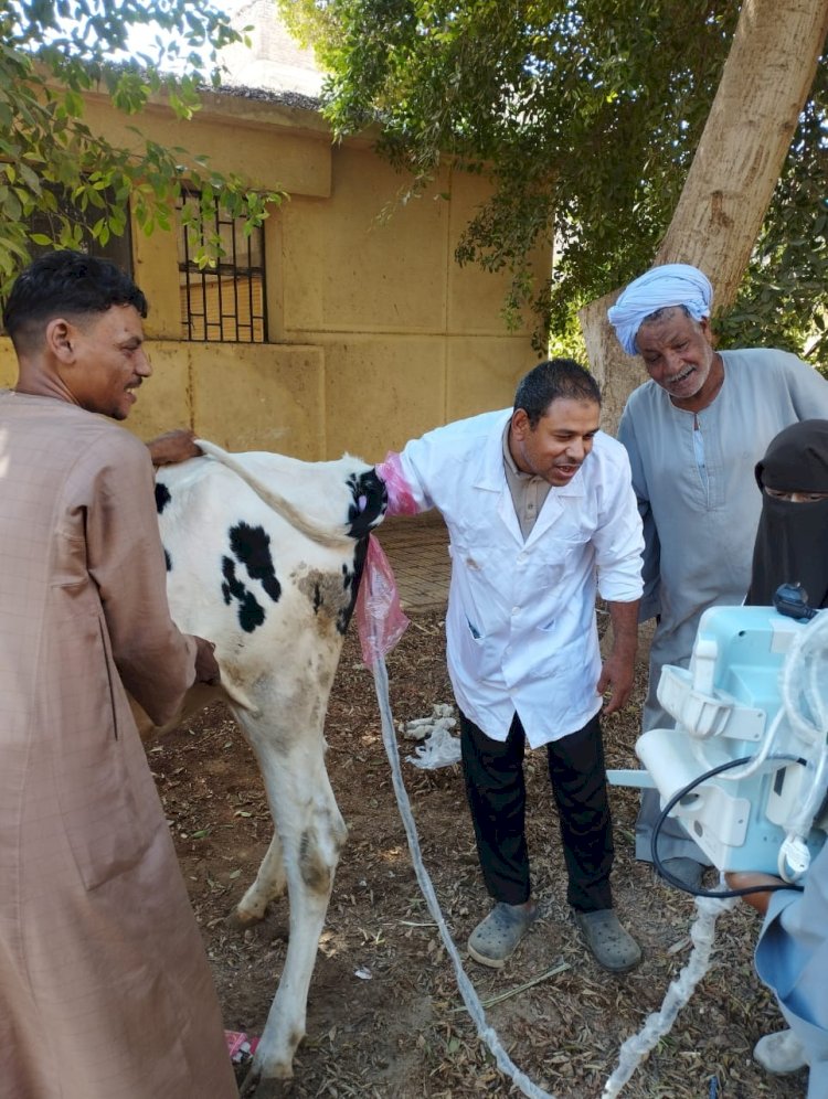 بيطري قنا يناظر 4385 رأس ماشية في 12 قرية