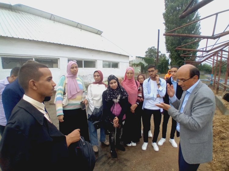 ختام البرنامج التدريبي لطلاب جامعة جنوب الوادي بجامعة مايكل الأول برومانيا