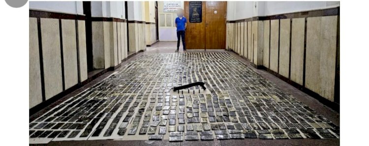 ضبط أسلحة ومخدرات بـ12 مليون جينه مع تاجر بالإسكندرية