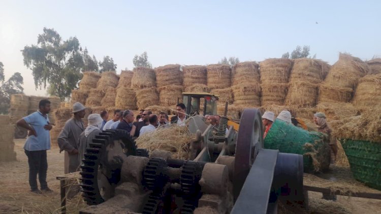 الزراعة والبيئة يتابعان مكافحة السحابة السوداء في الدقهلية