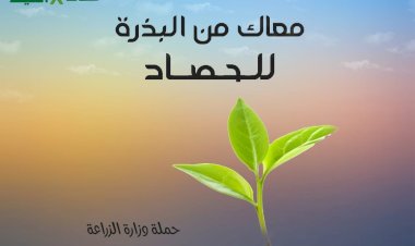 منبر