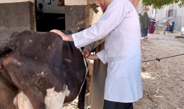 منبر
