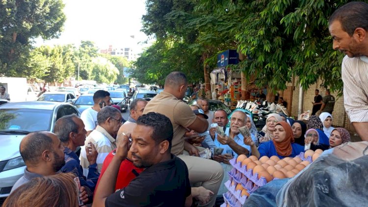 قطاع الثروة الحيوانية  يواصل اطلاق منافذة المتحركة لبيع بيض المائدة في اطار مبادرة "بداية"