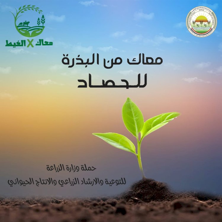 الزراعة: تطلق "حملة معاك في الغيط "عبر السوشيال ميديا