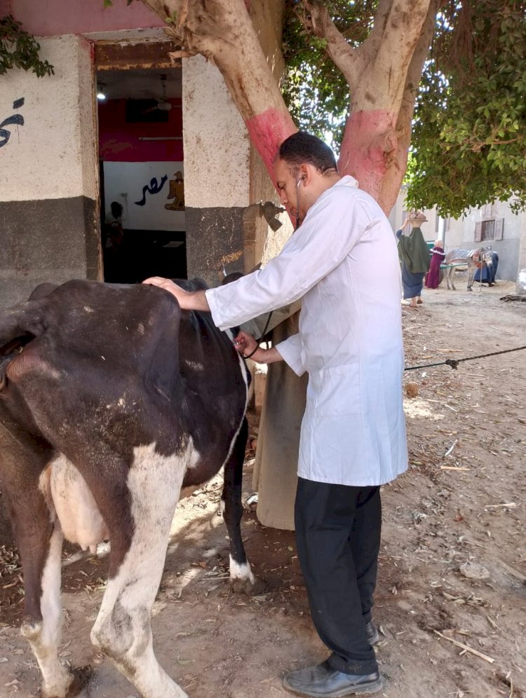 تقديم 2694 خدمة بيطرية في 3 قوافل مجانية ضمن "بداية"