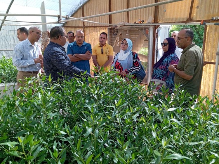 بحوث الصحراء والشركة العامة للبترول يبحثان التعاون لخدمة اهالي سيناء