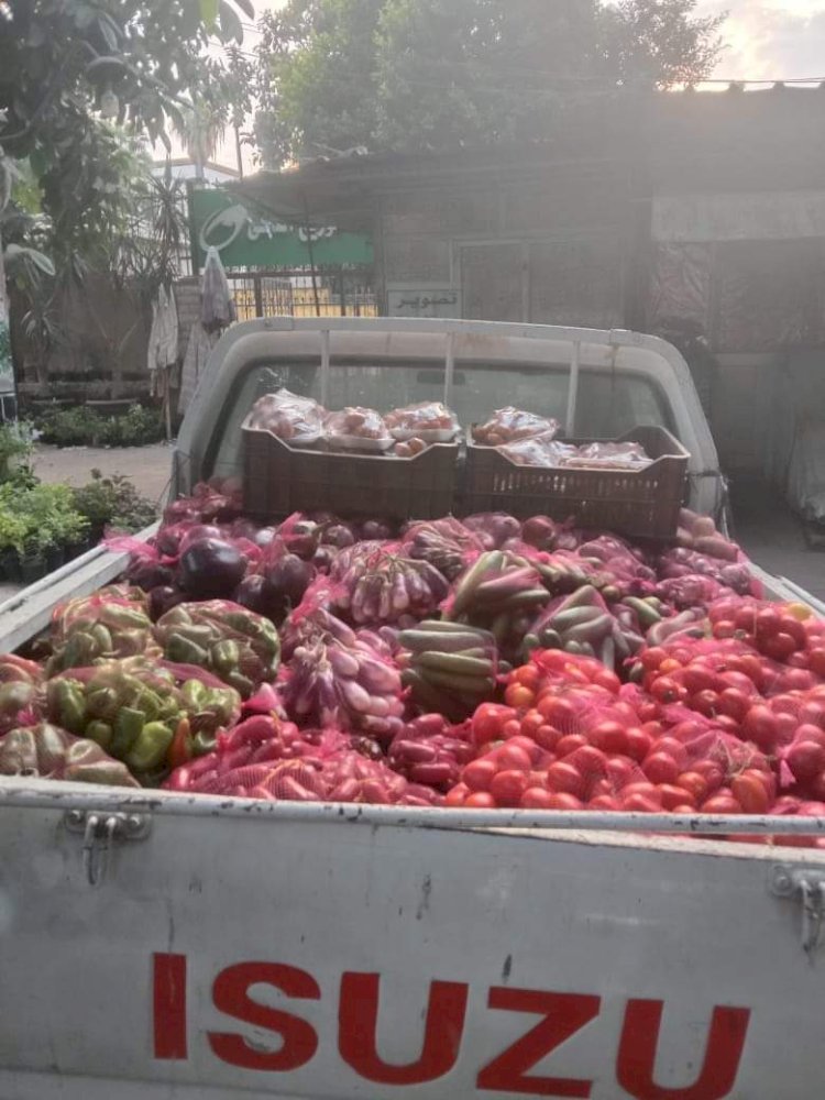 "الزراعة" ٣٧ مليون جنيه حصيلة جلسة المزاد العلني لبيع وايجار مساحات تابعة للإصلاح الزراعي في ٦ محافظات