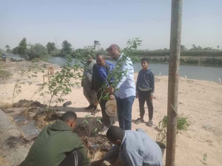 زراعة 107 شتلات بمركزي مطاي وسمالوط ضمن المبادرة الرئاسية 100 مليون شجرة