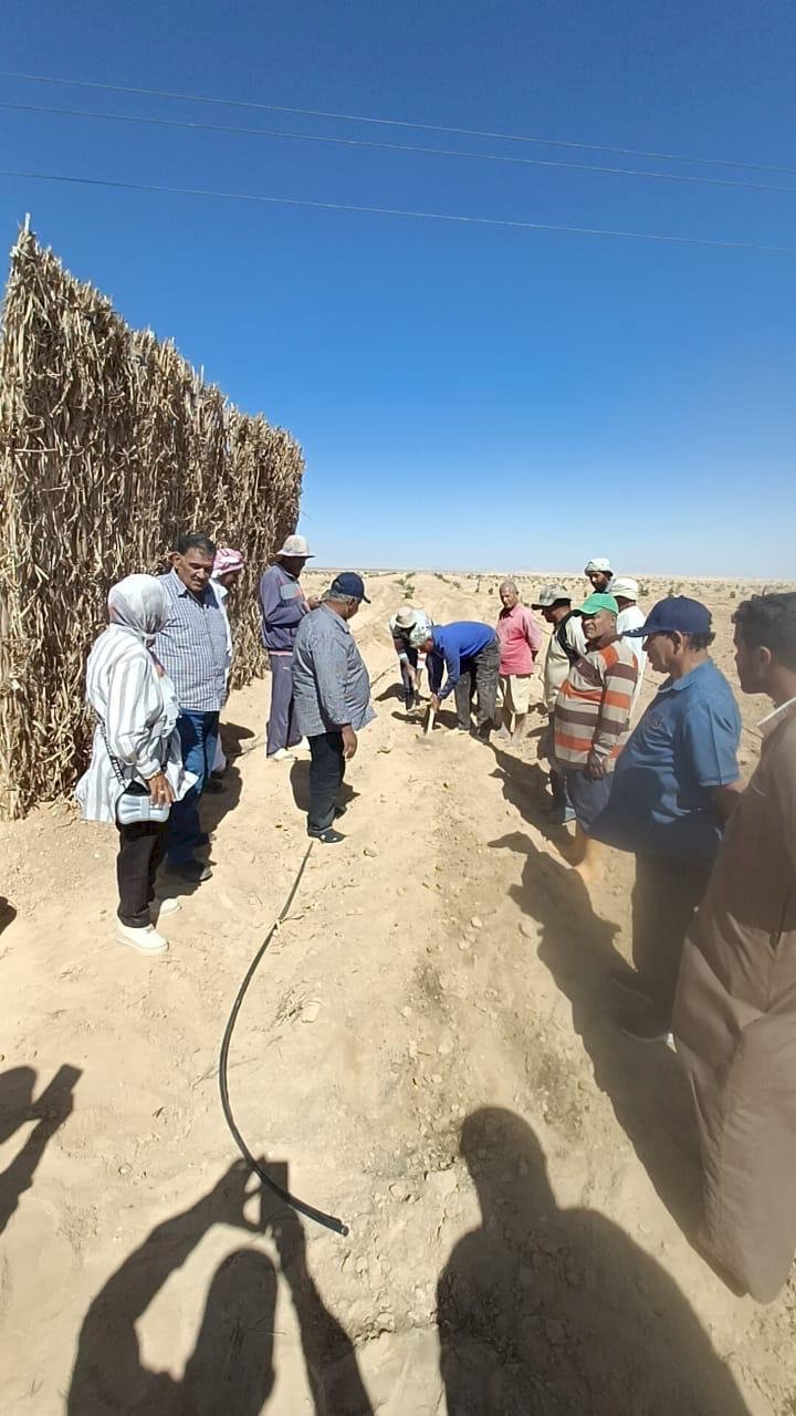 خبراء بحوث الصحراء يواصلون دعم المزارعين بسيناء