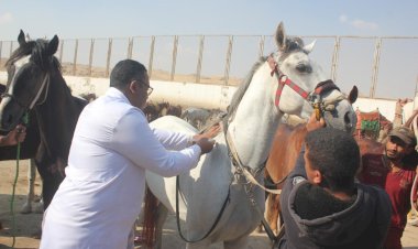 منبر