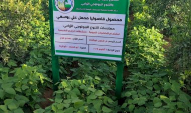 منبر