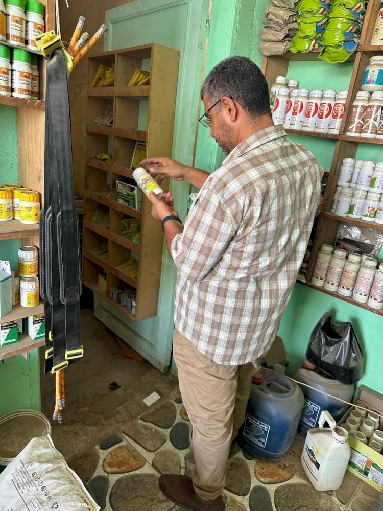 الزراعة تضبط 68334 عبوة مبيدات  مجهولة المصدر