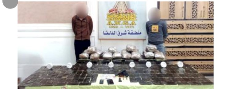 ضبط تجار الحشيش والبانجو باربعة مديريات