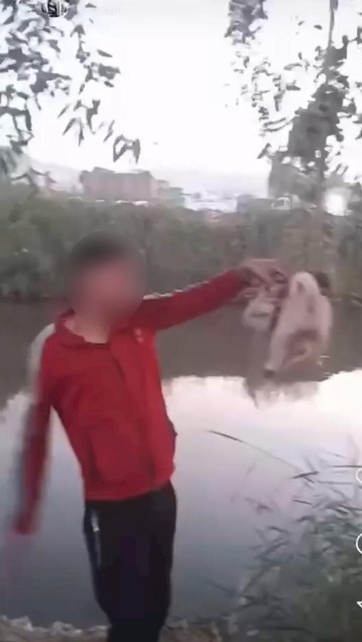 القصة الكاملة ل"فيديو" تعدي تشكيل عصابي بالضرب علي كلب باسيوط