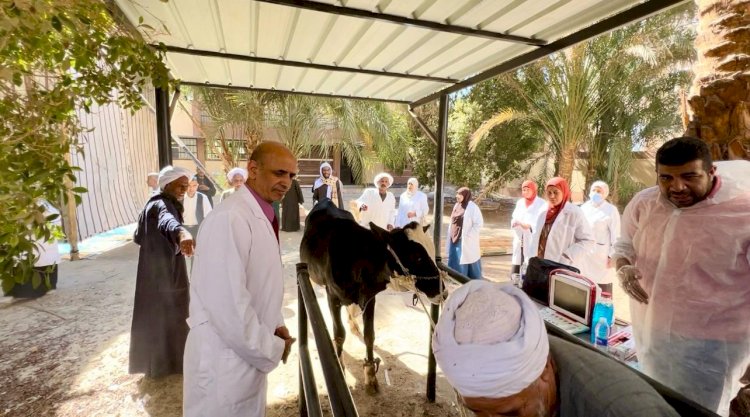 حزب مستقبل وطن بقنا ينظم قافلة بيطرية بقرية البراهمه لخدمة المزارعين والمربين